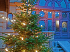 Der Christbaum im Innenhof des Kurhauses (Gögginger Weihnachtsmarkt)