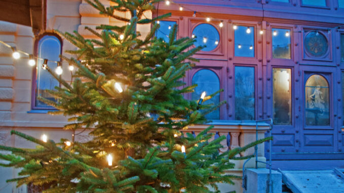 Der Christbaum im Innenhof des Kurhauses (Gögginger Weihnachtsmarkt)
